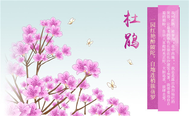 新澳门全年免费原料网